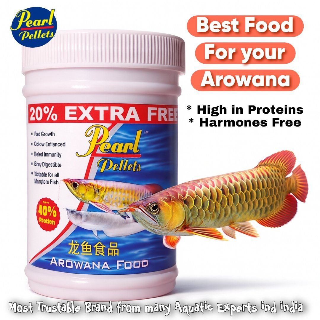 Arowana Sticks 100 Grams