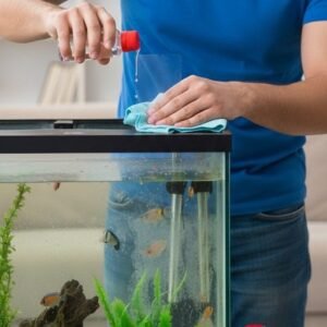Aquarium Glass stain Remover