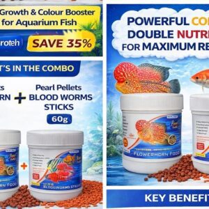 Pearl Pellets Flowerhorn Growth Food + Blood Worms Sticks Combo | 60g + 60g | High Protein Fish Food | Colour Enhancer | Hormone Free