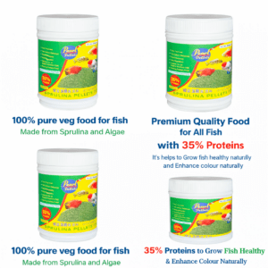 Premium Spirulina Fish Food | 100% Veg Pellets | 35% Protein | Natural Growth & Colour Enhancer for All Aquarium Fish